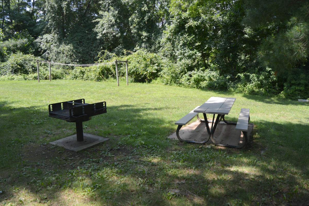 Barbecue Grills and Picnic Tables Finance & Administration